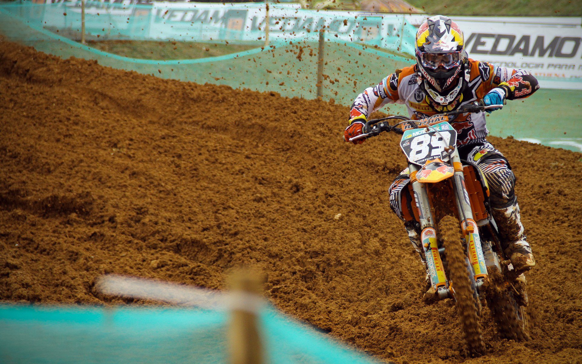 _青少年专场：未来冠军从这里起步_，未来精英青少年成长俱乐部