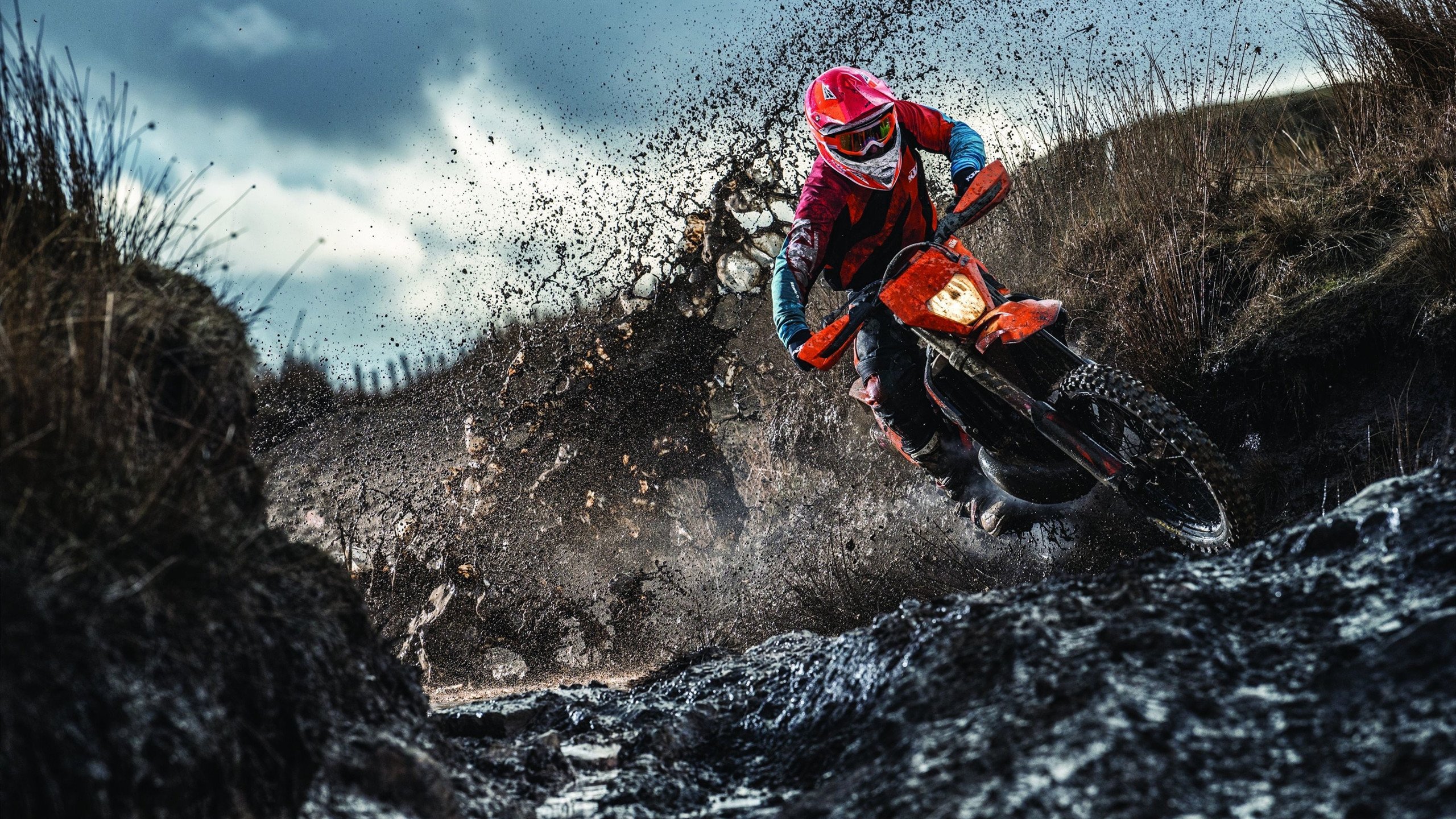 _青少年专项培训营：开启未来之门_，青少年培训班